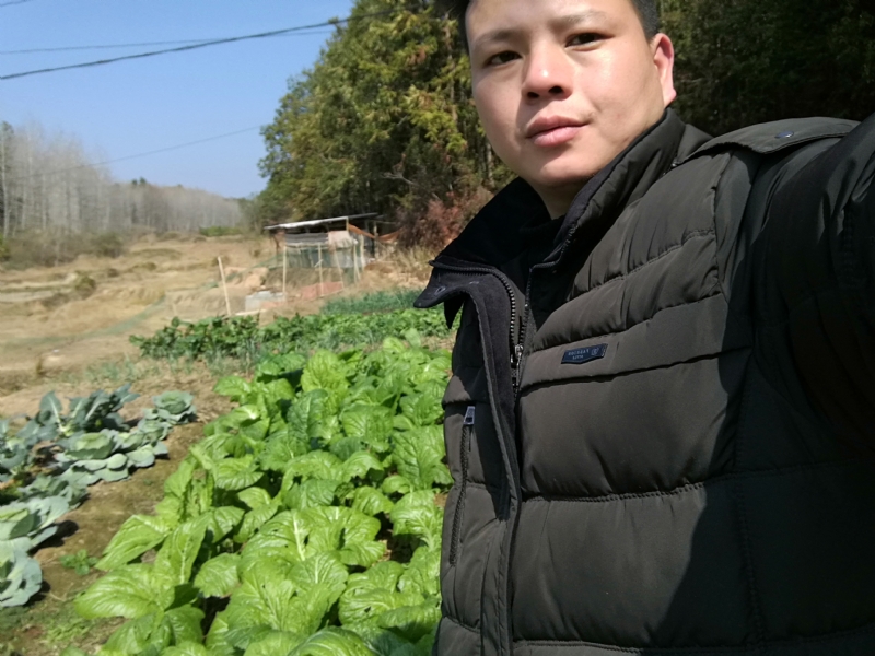 倔强的驴的第一张照片--罗源相亲网
