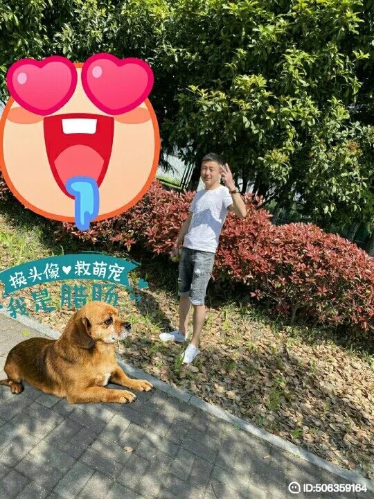 我若不坚强谁替我勇敢的第五张照片--罗源相亲网