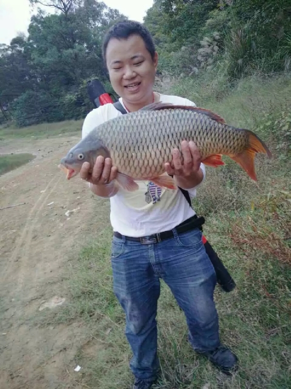 迷路的男人的第一张照片--罗源相亲网