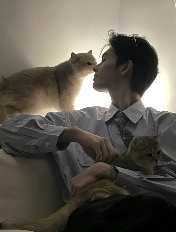 怪猫的第一张照片--罗源相亲网