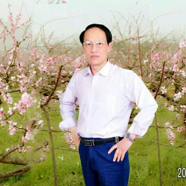 枫叶的第一张照片--罗源相亲网